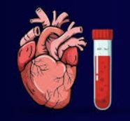 BNP Test : Critical For PPCM Patients